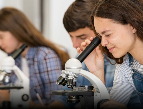 Gibt es in Deutschland einen Akademisierungswahn, der Mitschuld hat am Fachkräftemangel?